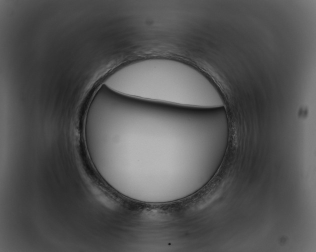 X0000101960634200807180703