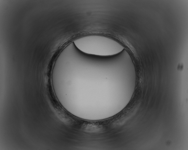 X0000101960635200807180703