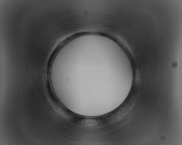 X0000101960636200807180703