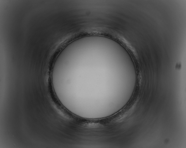 X0000101960637200807180703