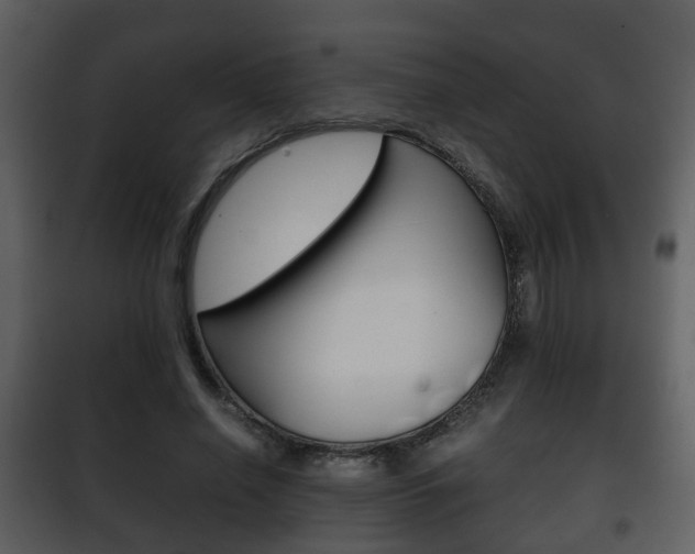 X0000101960638200807180703