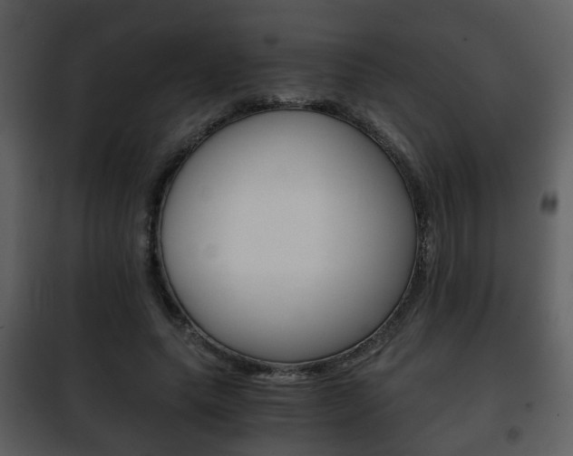 X0000101960639200807180703