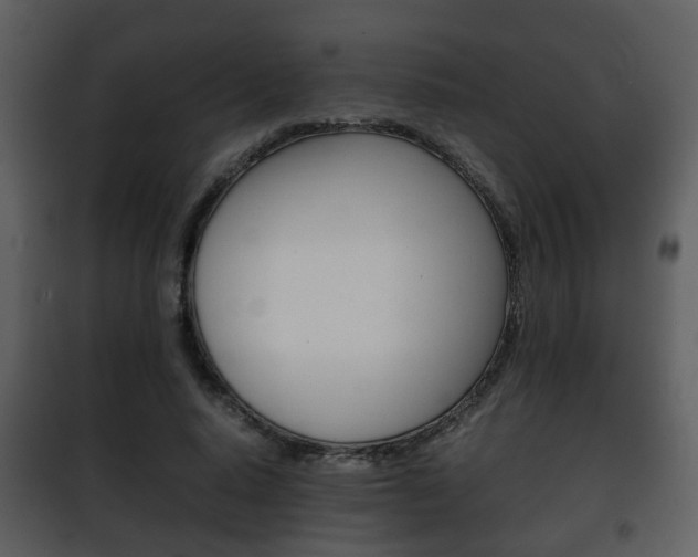 X0000101960640200807180703