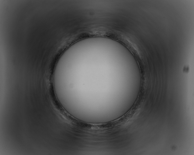 X0000101960641200807180703