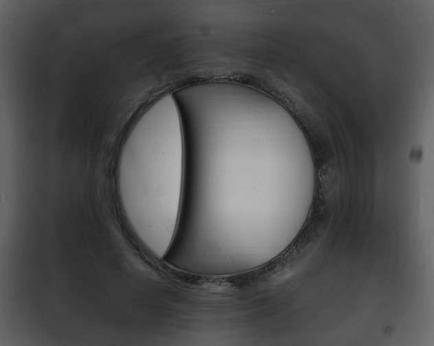 X0000101960642200807180703