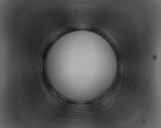 X0000101960643200807180703
