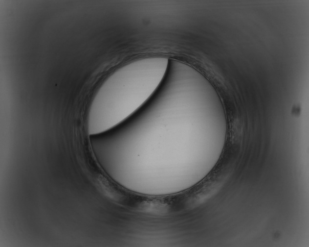 X0000101960644200807180703