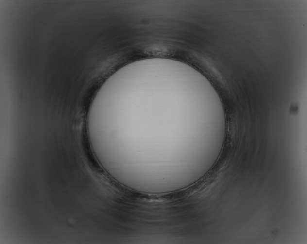 X0000101960645200807180703