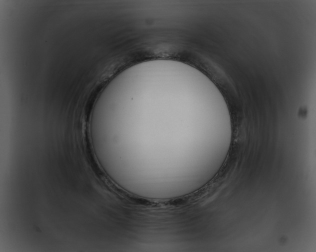 X0000101960646200807180703
