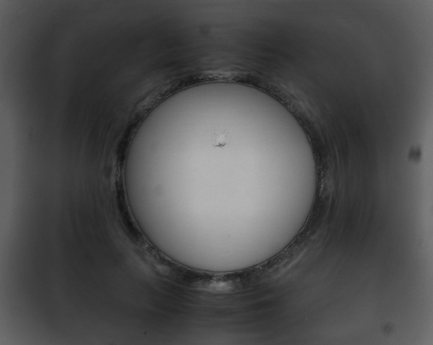 X0000101960647200807180703