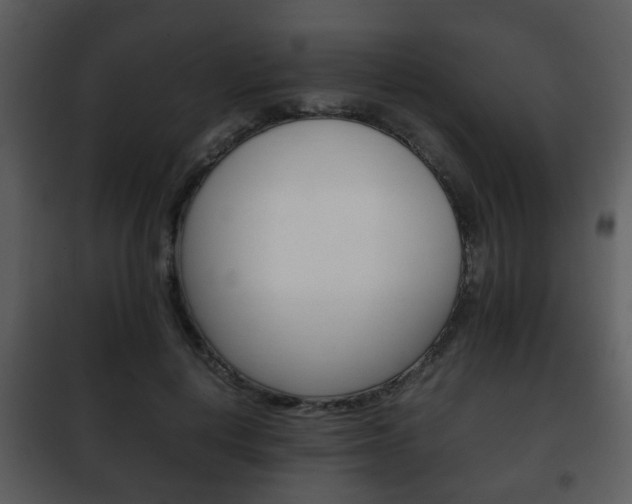 X0000101960648200807180703