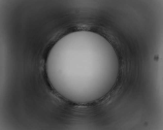 X0000101960649200807180703
