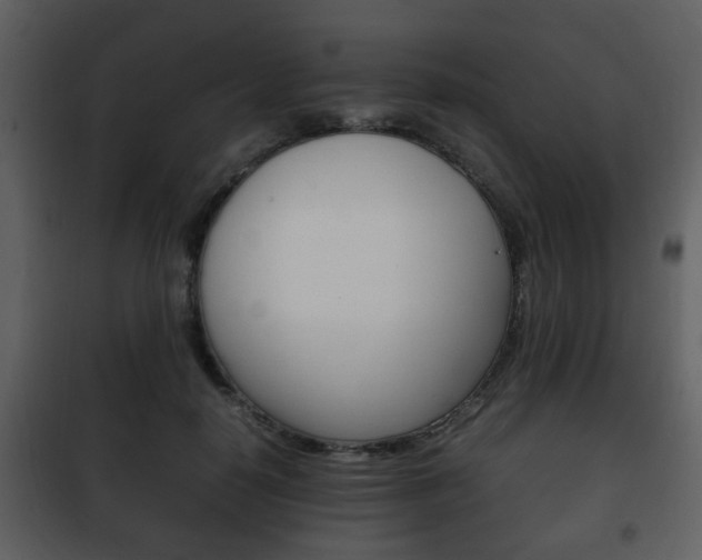 X0000101960650200807180703