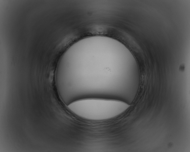 X0000101960652200807180704