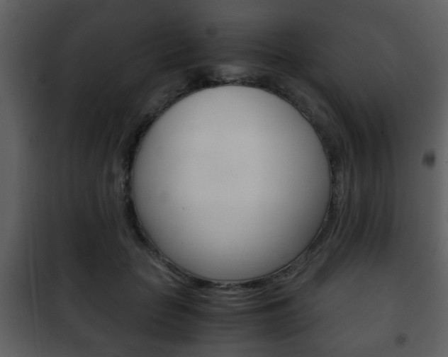 X0000101960653200807180704