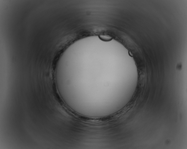 X0000101960654200807180704