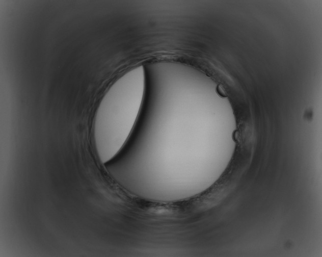X0000101960655200807180704