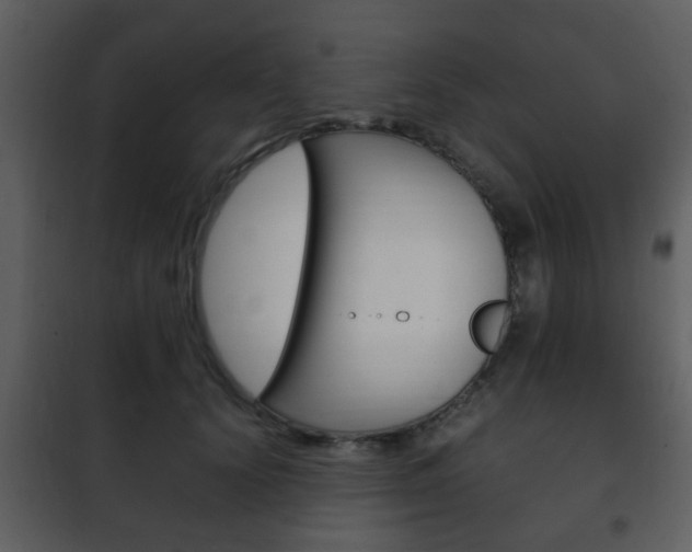 X0000101960656200807180704