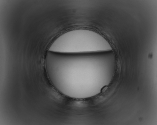 X0000101960657200807180704