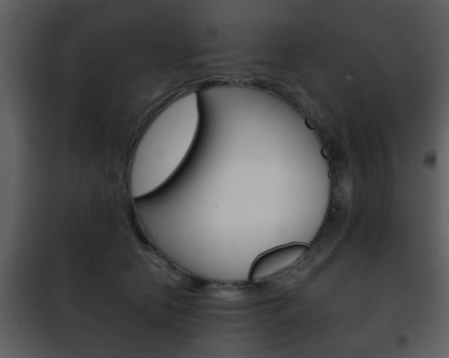 X0000101960658200807180704