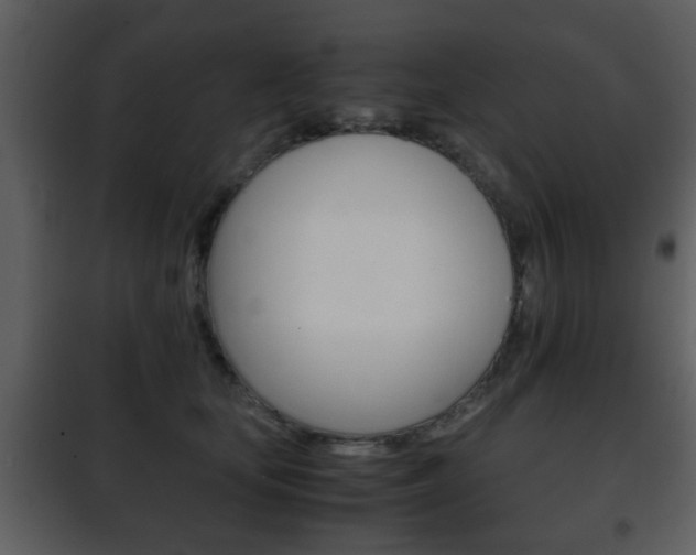X0000101960659200807180704