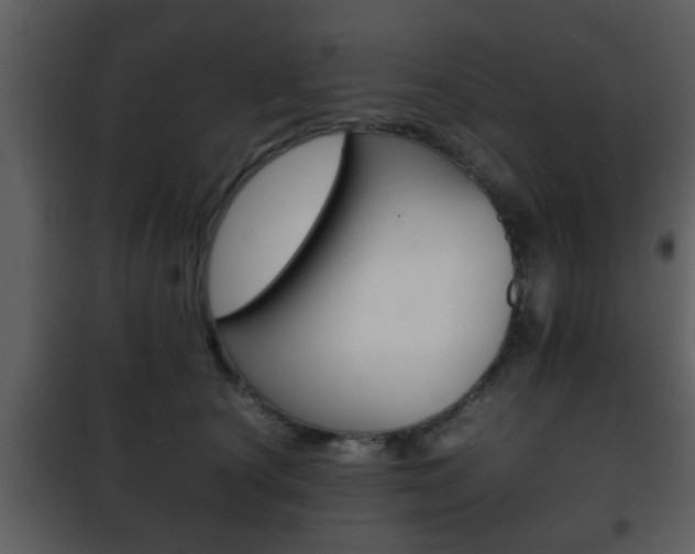 X0000101960660200807180704