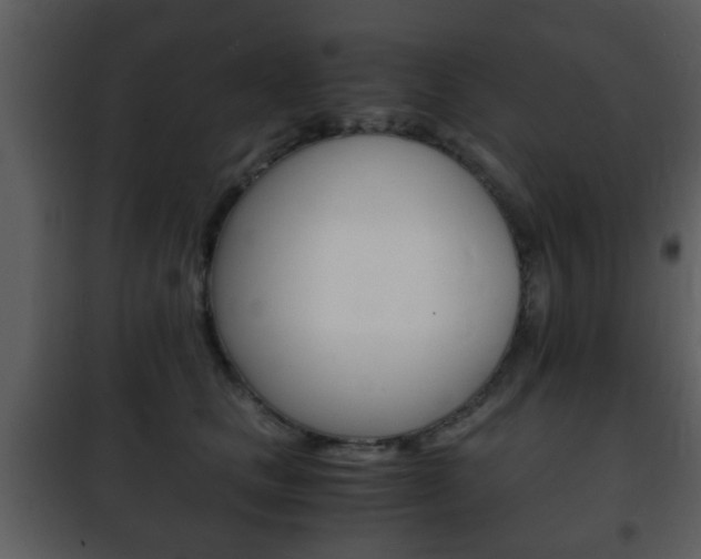 X0000101960661200807180704