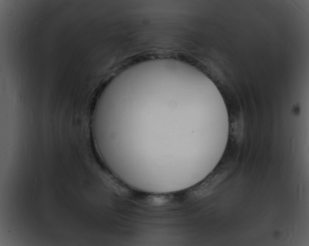 X0000101960662200807180704