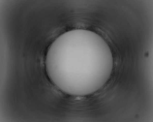 X0000101960663200807180704