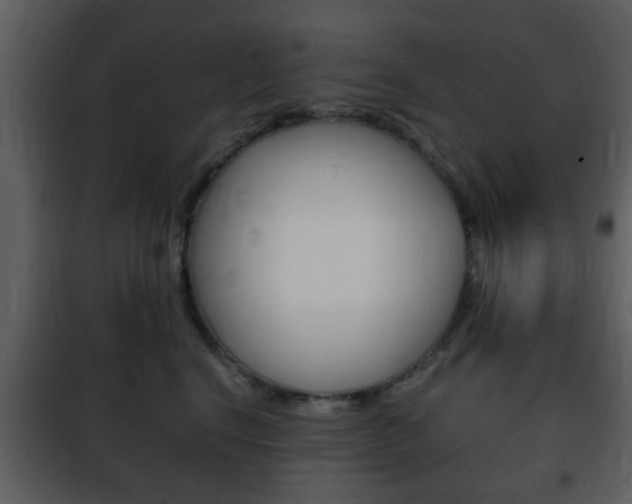 X0000101960664200807180704