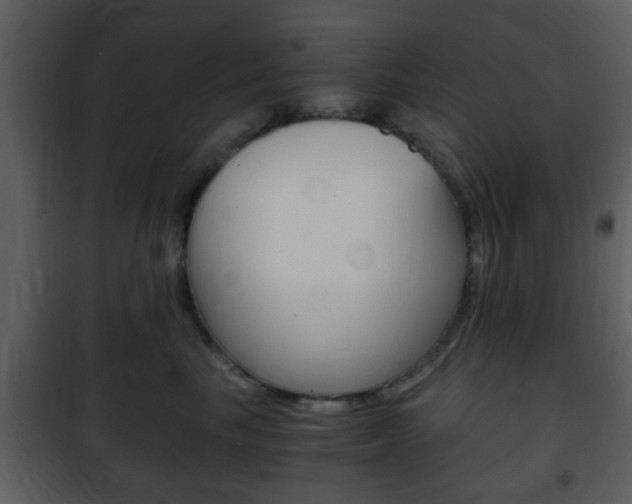 X0000101960665200807180704