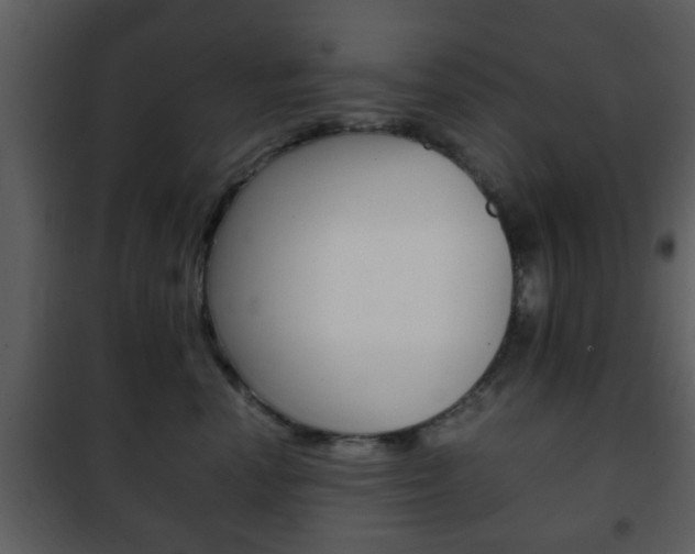X0000101960666200807180704