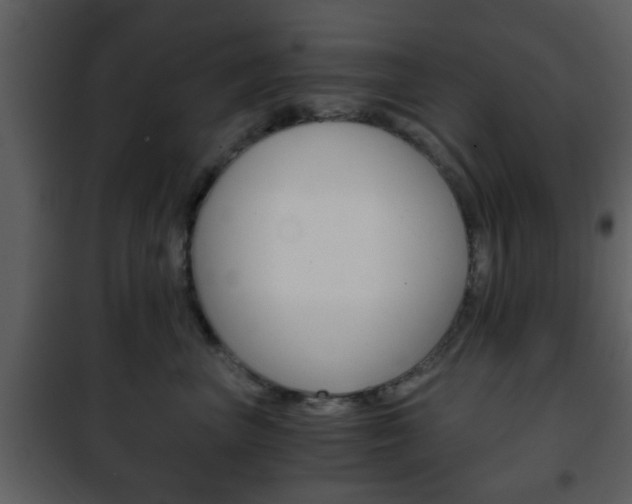 X0000101960667200807180704