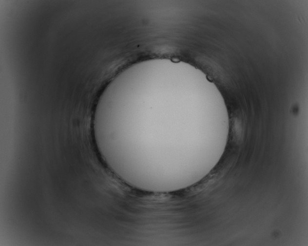 X0000101960668200807180704