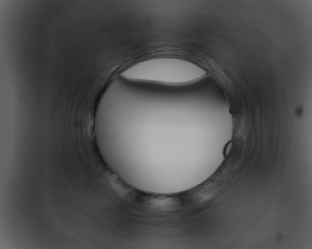 X0000101960669200807180704