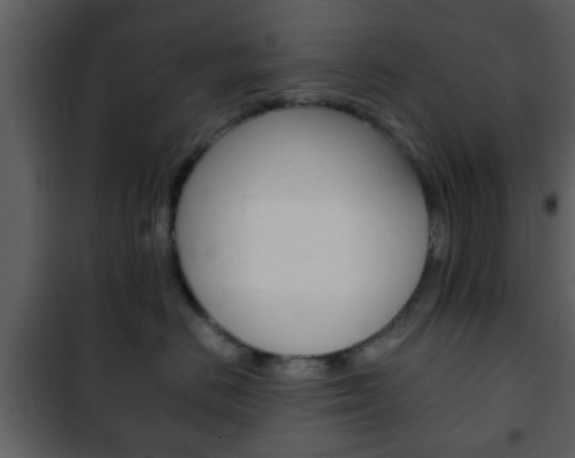 X0000101960670200807180704