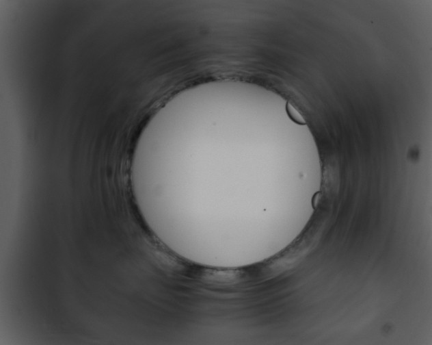X0000101960671200807180704