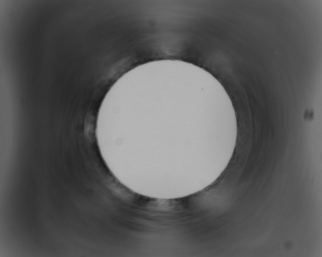 X0000101960672200807180704