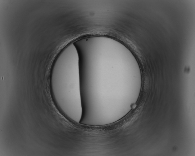 X0000101960673200807180703