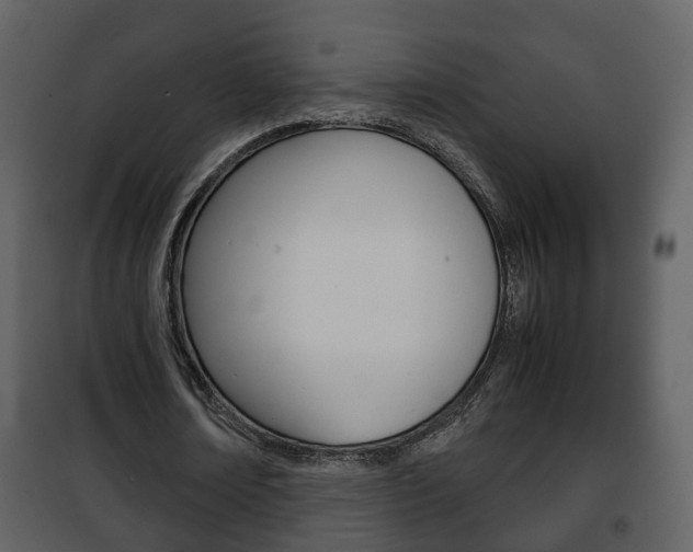 X0000101960674200807180703