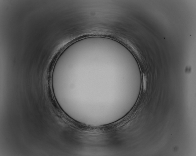 X0000101960675200807180703
