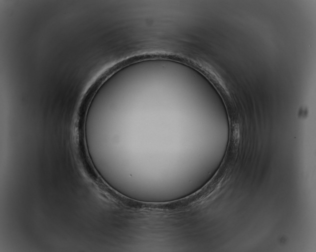 X0000101960676200807180703