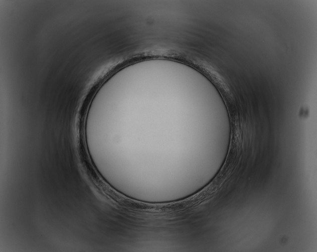 X0000101960678200807180703