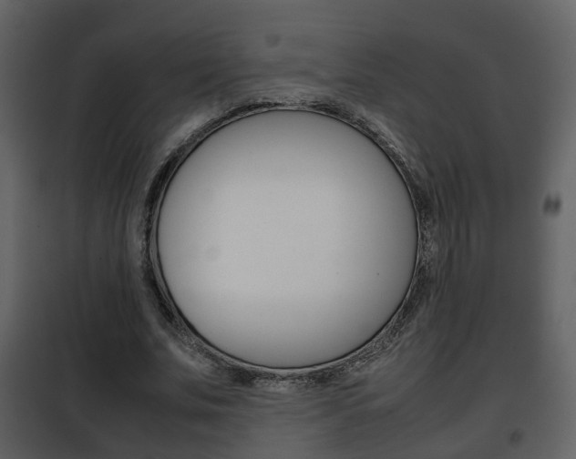 X0000101960679200807180703