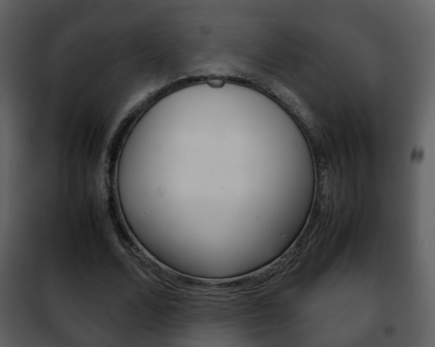 X0000101960680200807180703