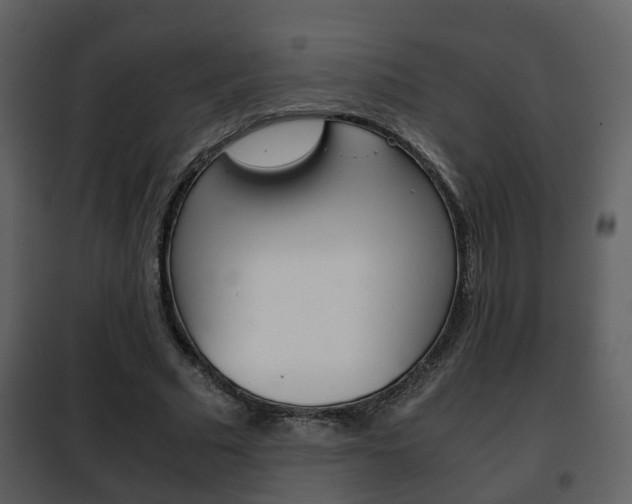 X0000101960681200807180703