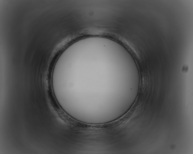 X0000101960682200807180703