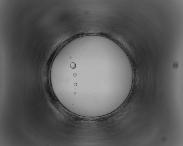 X0000101960683200807180703