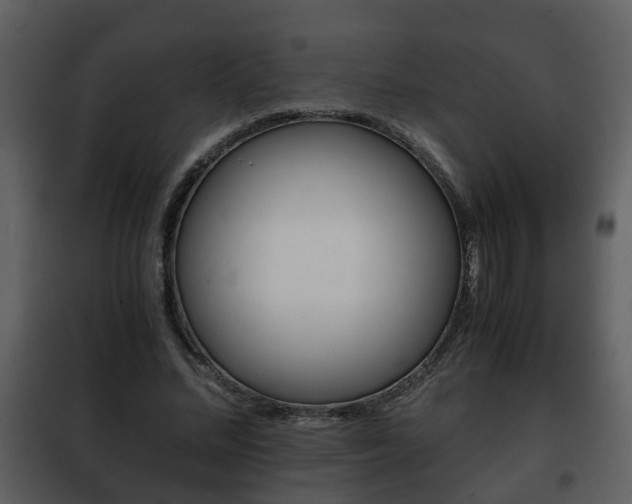 X0000101960684200807180703