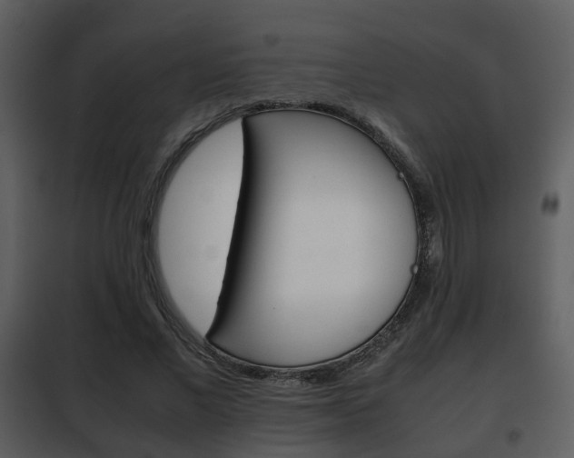 X0000101960685200807180703